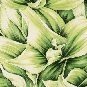 Ofertă specială Tapet bucatarie vinil, verde, model Hosta
